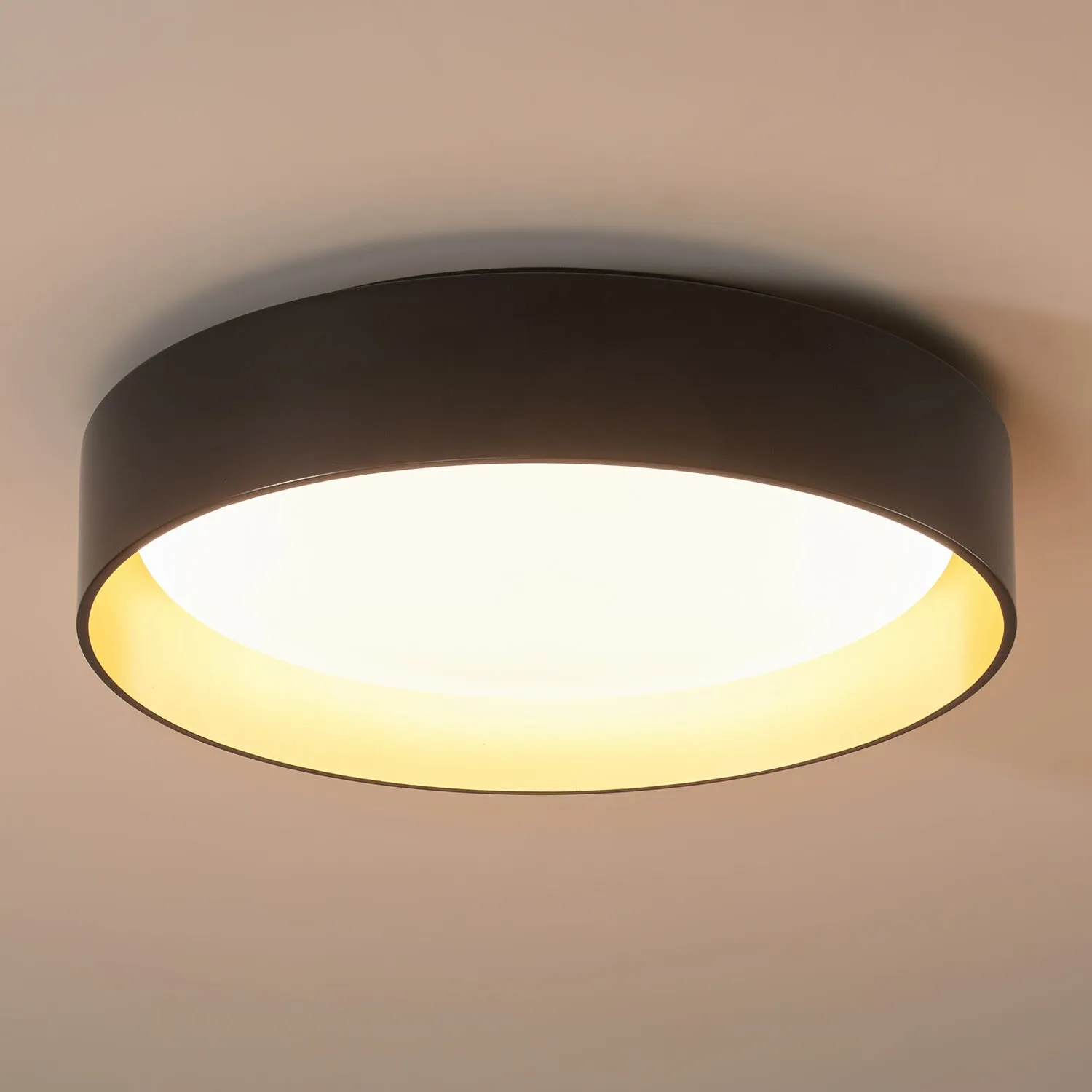 1-Light Acrylic Simple LED Flush Mount Lighting