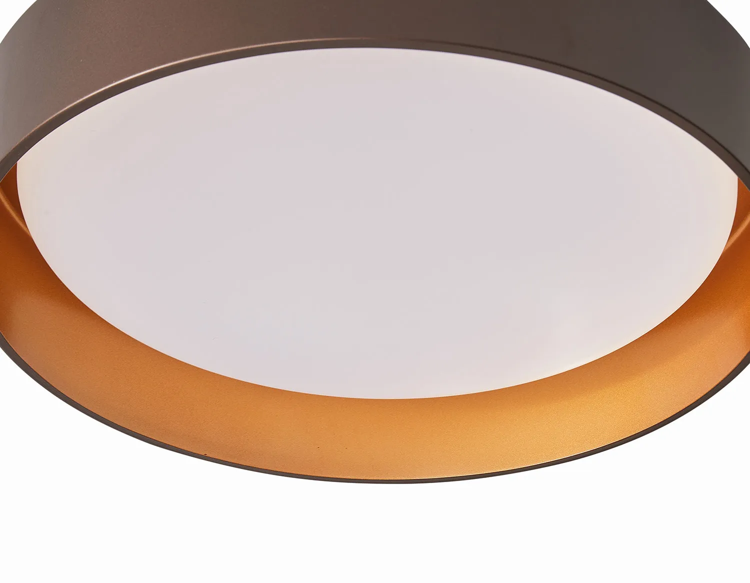 1-Light Acrylic Simple LED Flush Mount Lighting