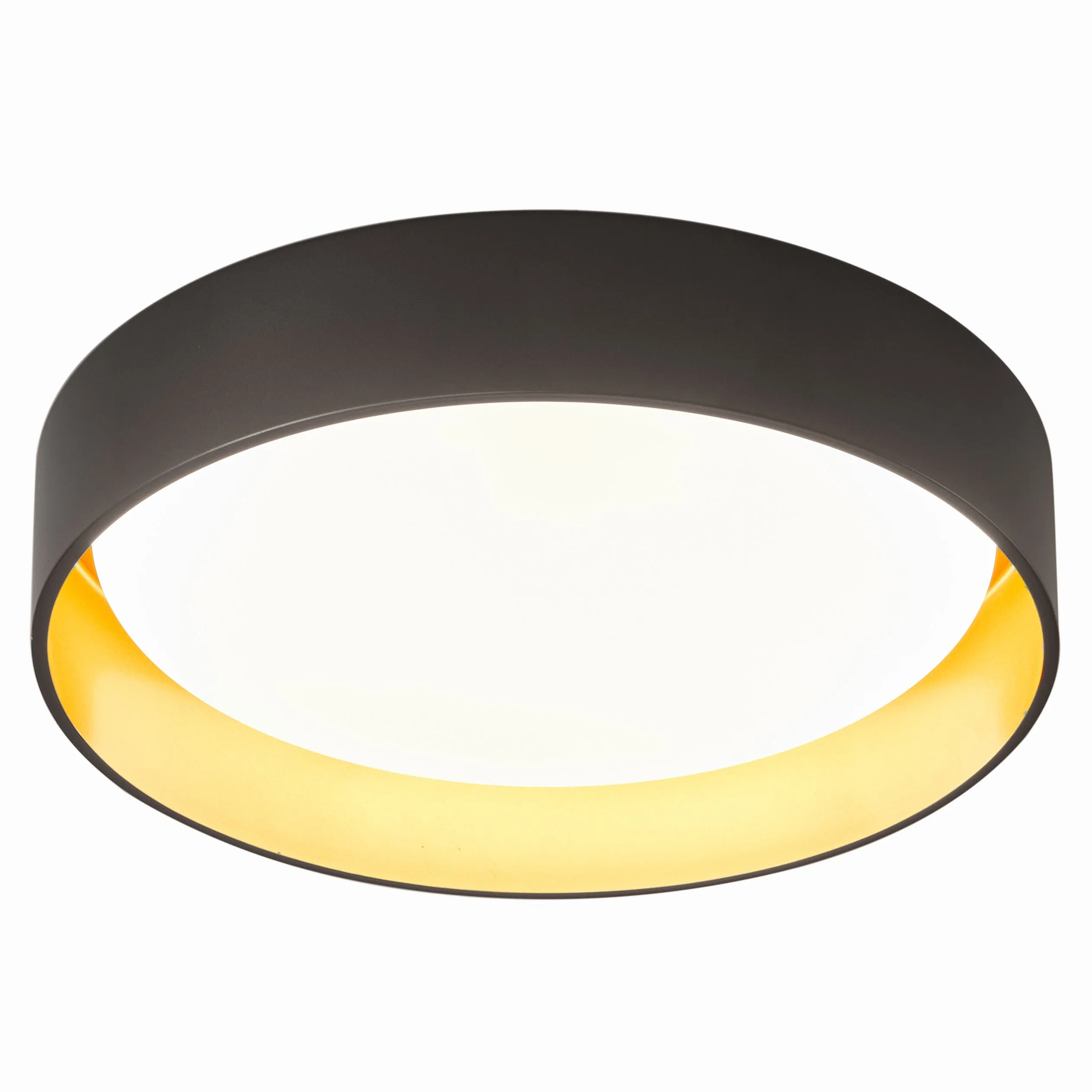 1-Light Acrylic Simple LED Flush Mount Lighting